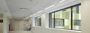 Hospital Lighting Luminaire